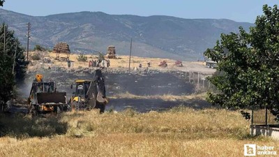 Güdül'de otların tutuşmasıyla başlayan yangın tarım arazisine sıçradı