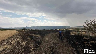 Güdül'deki tavuk çiftliğinde yakılan ateş ekili tarlaya sıçradı