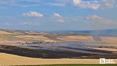 Çorum'da tarlayı yakan zanlı 96 saatlik takiple yakalandı