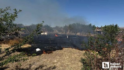 Sincan'da ot yangını: 2 hobi bahçesi yanarak küle döndü!