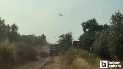 Ankara'dan giden ekiplerin orman yangınına müdahalesi sürüyor