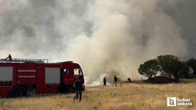 Güdül'de çıkan tarla yangınında maddi hasar oluştu