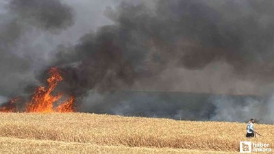 Beypazarı'nda buğday ekili tarlada çıkan yangın korkuttu!