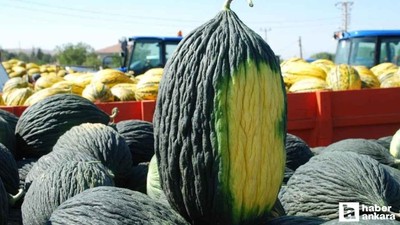 Kahramankazan'da ata tohumları toprakla buluştu