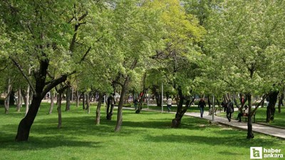 1935 yılında Çankaya'nın göbeğinde kuruldu: 45 yıl sonra resmen hizmete girdi