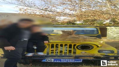 Manavgat'ta öldürülen Zeus'un Ankara'daki yavru hali ortaya çıktı