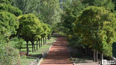 Doğa ile baş başa kalmak isteyen başkentliler için bu park şehrin göbeğinde!