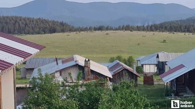 Beypazarı'nda yılkı atları görüldü