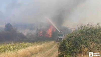 Çanakkale ve Tekirdağ Şarköy yangınında son durum ne, söndürüldü mü?