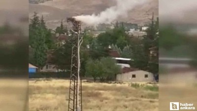 Sincan'da leylek yuvasının bulunduğu direk yandı