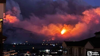 Sakarya'daki orman yangını büyümeye devam ediyor