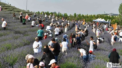 ABB'den Başkentlilere Lavanta Hasat Şenliği etkinliği!