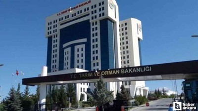Tarım ve Orman Bakanlığı Ankara'da tam zamanlı işçi alımı yapıyor!