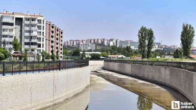 Ankara Çayı'nın durumu kritik: Tarihinde bir ilk yaşandı