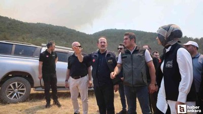 Orman yangınlarına karşı 4.231 personel saha görev yapıyor!