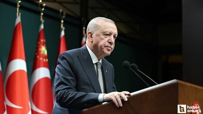 Cumhurbaşkanı Erdoğan: 'Yangınların yüzde 96'sı insan kaynaklı'