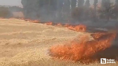 Beypazarı'nda elektrik kontağından anız yangını çıktığı iddia edildi