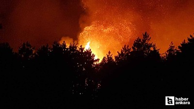Karabük'te orman yangını rüzgarın etkisiyle yayılıyor