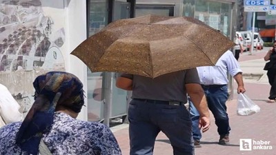 Kırşehir'de aşırı sıcak hava hayatı olumsuz etkiledi