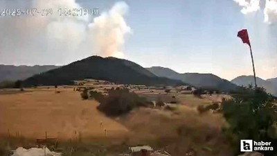Çankırı-Kastamonu sınırındaki orman yangınının çıkış anı kamerada!