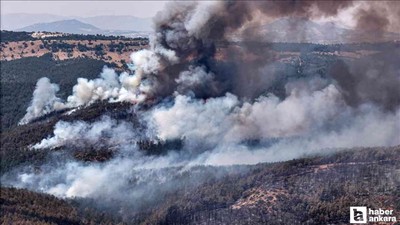 Orman yangınlarında 132 bağımsız birimin hasar aldığı açıklandı