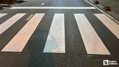Yaya geçidine park edilen otomobilin üzerinden atladı