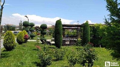 Sincan Belediyesi yeşil alanların temizlik ve bakımına devam ediyor