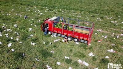Yozgat'ta karpuz hasadı yeni başladı!