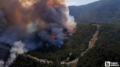 Karabük'te orman yangını başladı! Hızla büyüyor