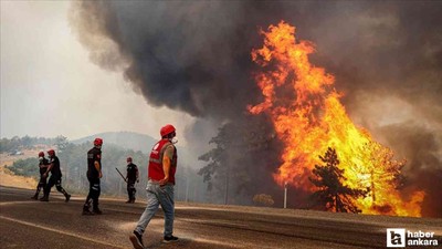 OGM'den orman yangınlarına ilişkin dikkat çeken uyarı!