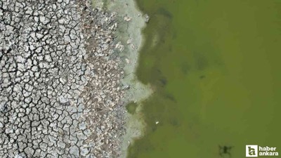 Çubuk'taki Kızılca Göleti'nde kuraklık ve ölü balık sorunu!