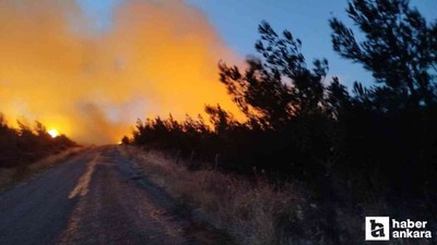 Bakan Yumaklı Çanakkale'deki yangınların son durumunu açıkladı!