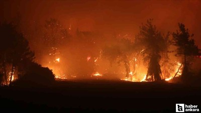 Osmaniye'deki yangından acı haber! 1 işçi şehit oldu