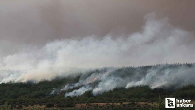 Devam eden Çanakkale Gelibolu yangını dron ile görüntülendi!