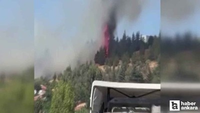 Son Dakika: Ankara'da orman yangını çıktı!