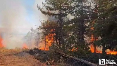 Bala'da orman yangınına sebep olan şüpheli gözaltına alındı