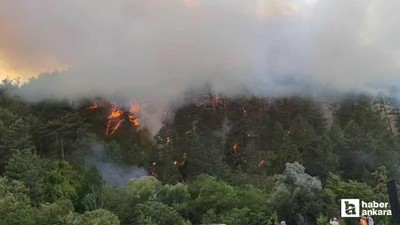 Bolu Mengen'de orman yangını havanın kararmasıyla söndürüldü