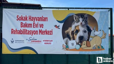 Kahramankazan Belediyesinden sokak hayvanlarına yardım eli!
