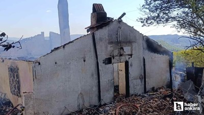 Nallıhan'da çıkan yangında bir ev kullanılamaz hale geldi