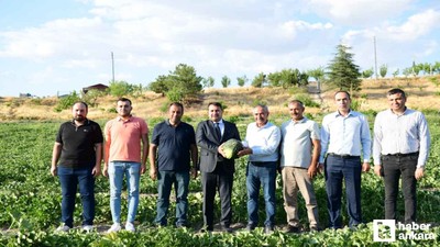 Kazan Kavunu muhteşem lezzetiyle sofralara geri dönüyor!
