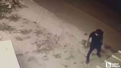 Etimesgut'ta bir şahsın mağaza önündeki köpeğe şiddet uyguladığı iddia edildi
