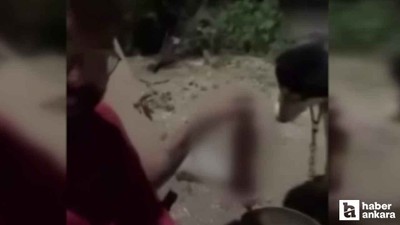 Polatlı'da bir kişi köpeğine alkol içirdi!