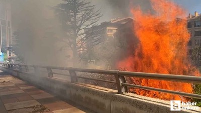 Başkentte ağaçlık alanda çıkan yangın söndürüldü