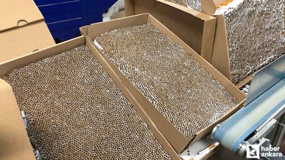 Kırşehir'de 264 bin kaçak makaron yakalandı