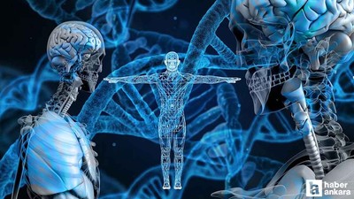 Dikkat eksikliği ve hiperaktivite: 20 dakikalık Dikkat Testi ile tanı konuluyor!