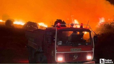 Bursa'da çıkan orman yangınına müdahale sürüyor