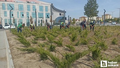 Etimesgut parklarında mevsimsel bakım çalışmaları sürüyor