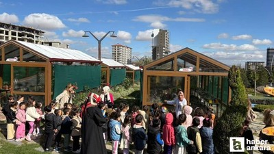 Pursaklar'da öğrenciler doğayı Endemik Vadi'de keşfediyor