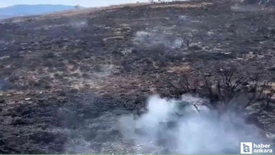 Çankırı'da korkutan arazi yangını!