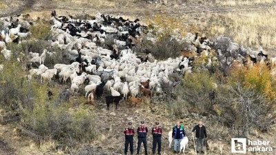 Beypazarı'nda kayıp 544 adet küçükbaş hayvan dron ile bulundu